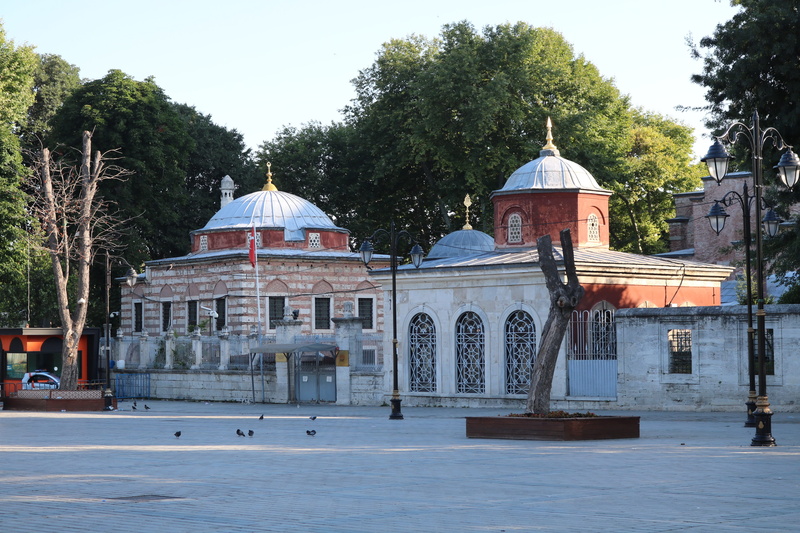 dome, aesthetics, hagia sophia, spirituality, süleymaniye, turkey, plant, photo, cami, islam, building, religion, architecture, tree, nature, sultanahmet