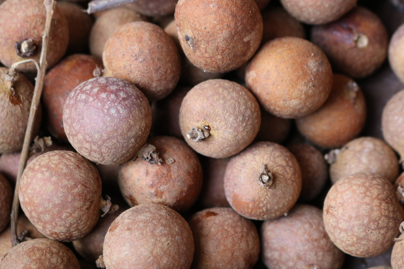 egg, head, fruits, 5K, freshness, high angle view, bun, berry, plant, repetition, abundance, market, fresh, raw food, produce, food and drink, brown, longan