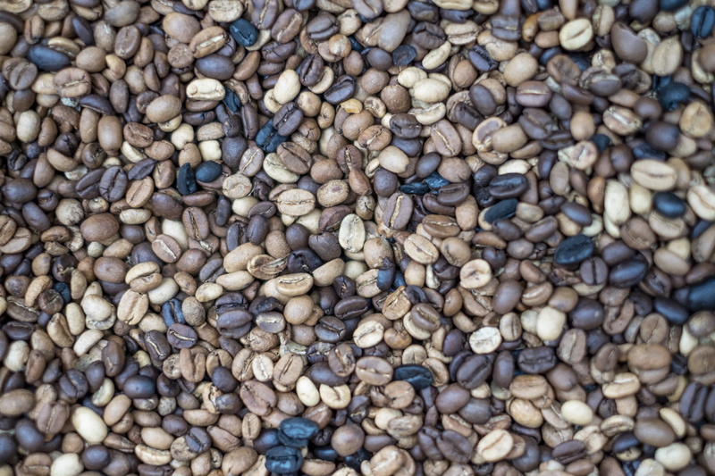 still life, sea life, outdoors, vegetation, pebble, walkway, freshness, abundance, nut, healthy eating, sesame, lentil, seasoning, plant, high angle view