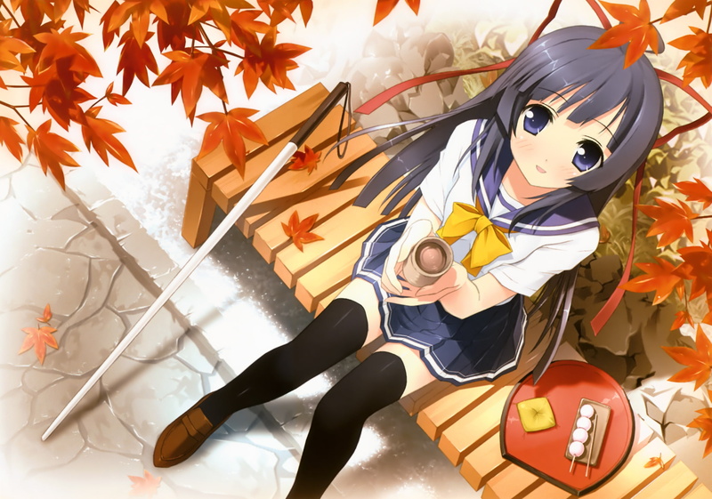 scan, seifuku, kantoku, food, 1080P, akari, houhou, suzushiro, leaves, thighhighs, bench, tobu, ribbons, mittsu, sora, blush