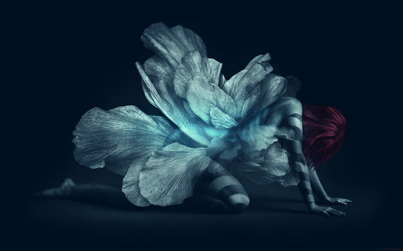 close-up, angel, human representation, red, I Watched You Change, flowering plant, nature, redhead, fantasy, digital composite, studio shot, representation