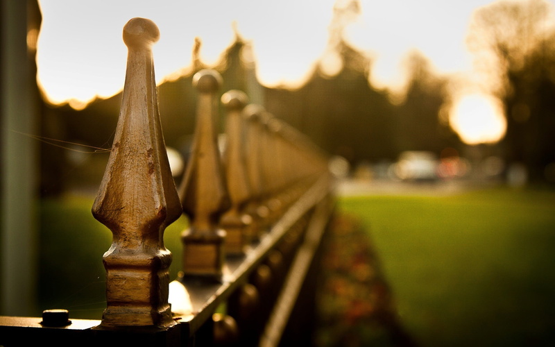 built structure, grass, boundary, tree, sky, metal, railing, fence, close-up, 2K, day, plant, outdoors, in a row, no people, architecture, nature, focus on foreground