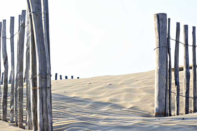 post, wood - material, outdoors, landscape, day, tranquility, summer, security, scenics - nature, safety, arid climate, land, gray, fence, wooden post