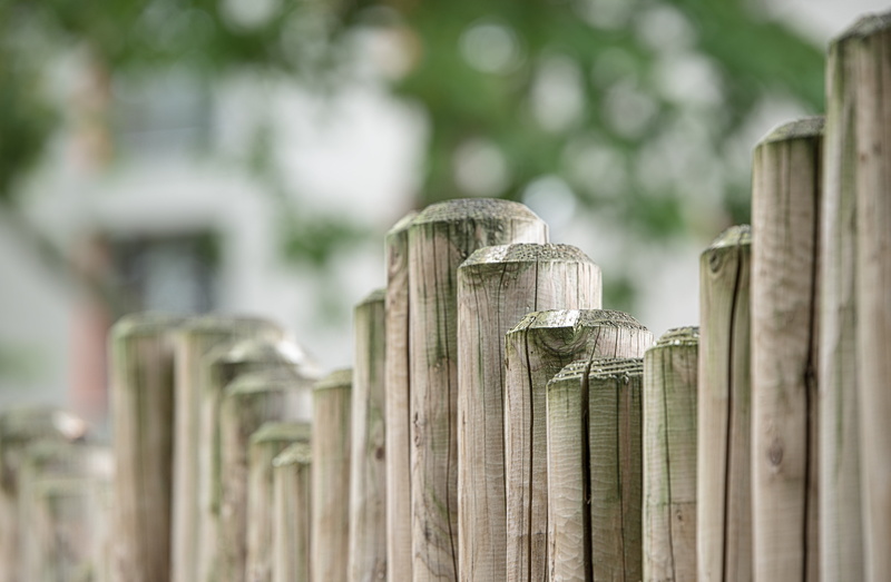 selective focus, fence, wood fence, 5K, rural scene, wall boards, plant, bamboo, outdoors, board, paling, plot, garden, post, depth, architecture, barrier