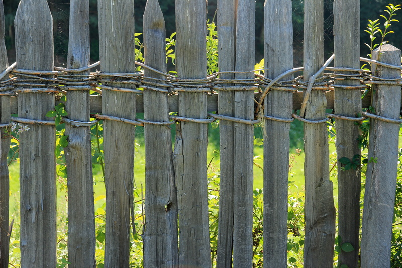 safety, outdoors, growth, green color, bamboo - plant, bamboo, palisade, barrier, boards, sunlight, weathered, land, protection, no people, security, garden fence