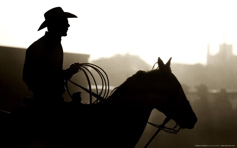 2K, lasso, cowboy, silhouette