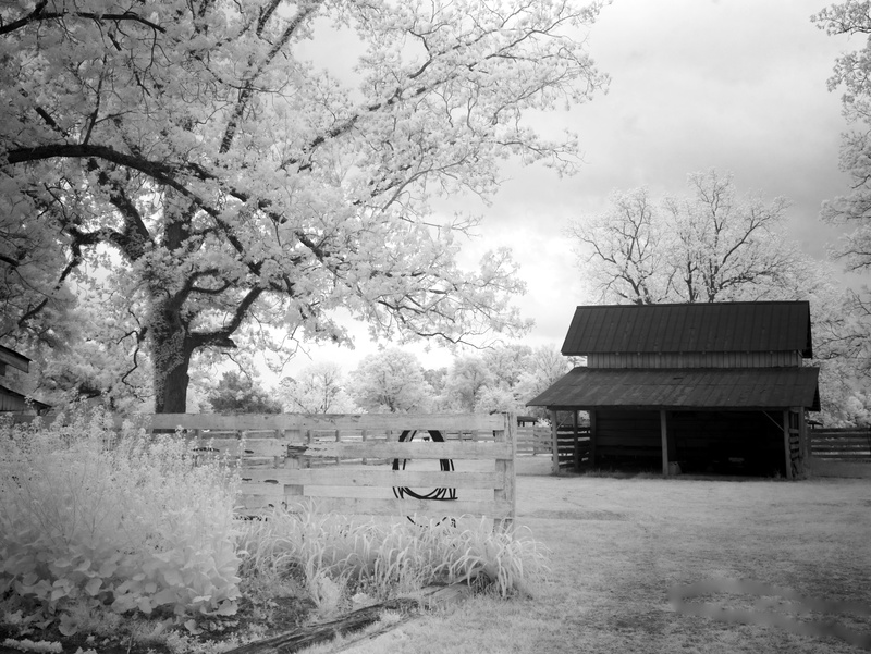 Fence, architecture, house, land, bench, meadowbank, environment, Stall, monroeville, plant, nature, tree, beauty in nature, Farm, Lasso, loneliness, no people