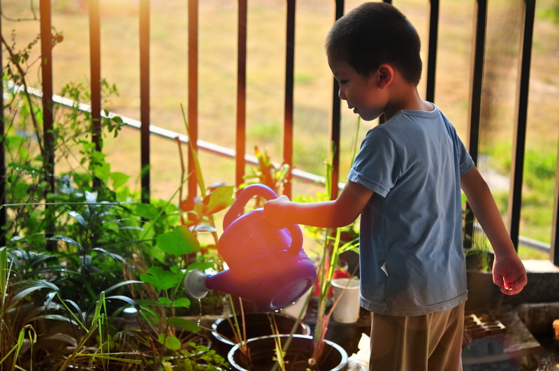 garden, can, planting, holding, green, gardening, boy, girl, males, child, men, plant, farm, little, kids, growth, day, asian, environment, flower, one person