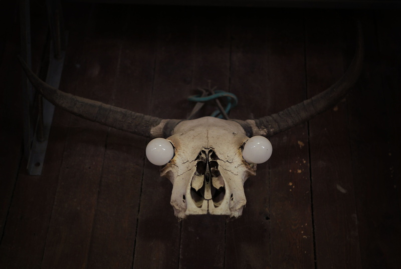 table, animal, no people, ceiling, directly above, israel, hanging, wall - building feature, focus on foreground, death, cowboy, light, decoration, americana