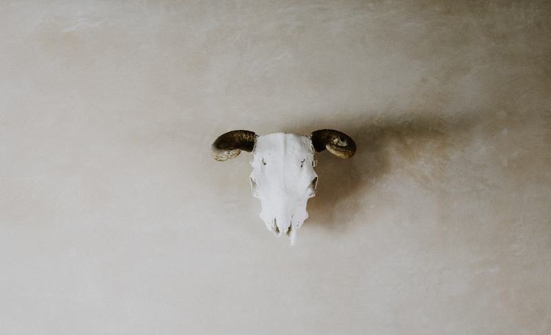 art, studio shot, animal, pottery, minimalism, crystal, interior decorating, 5K, horns, porcelain, animal body part, copy space, spooky, hanging, emotion