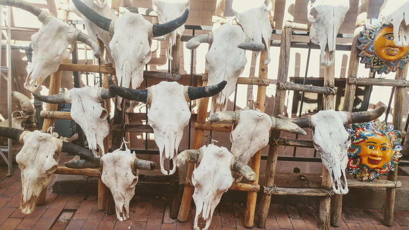 america, no people, animal, day, boundary, new mexico, animal head, outdoors, united states, livestock, herbivorous, built structure, wood - material, wood