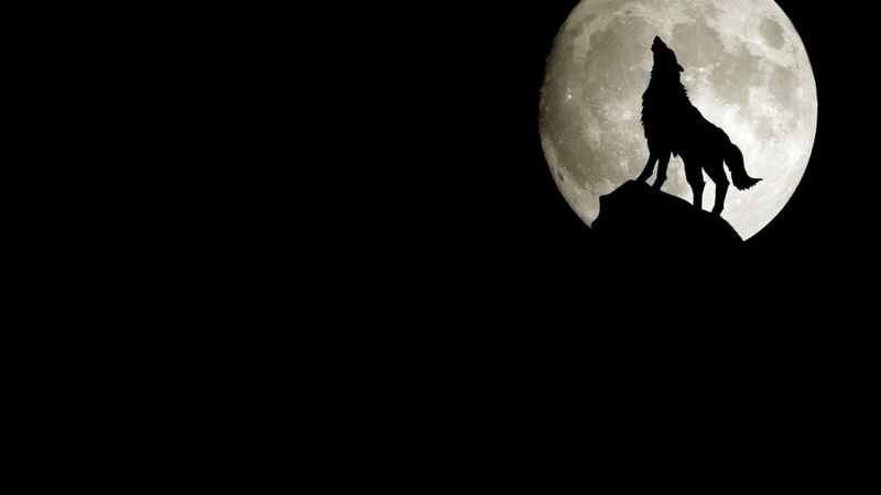 1080P, black, Moon, moons, wolves, black background, x, background, hd, space, art