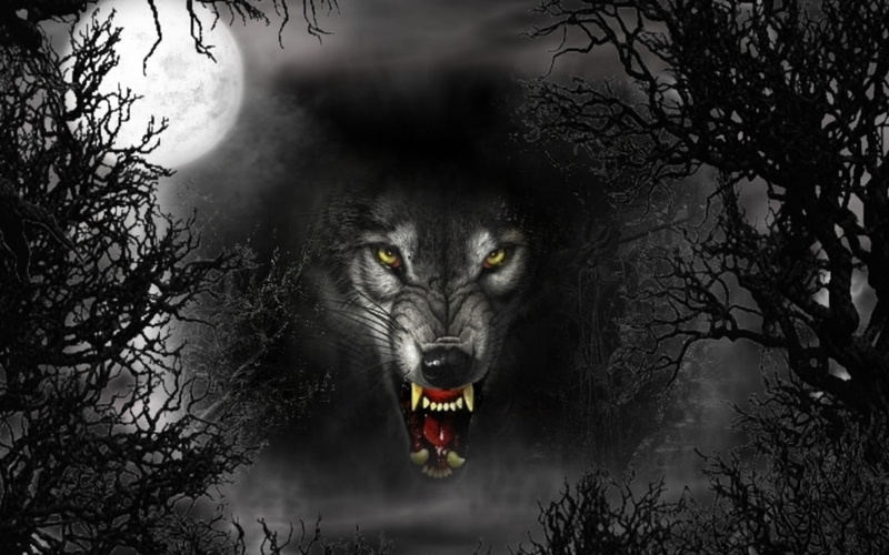 art, hd, moons, dark, night, space, moon, x, Trees, wolves, 720P