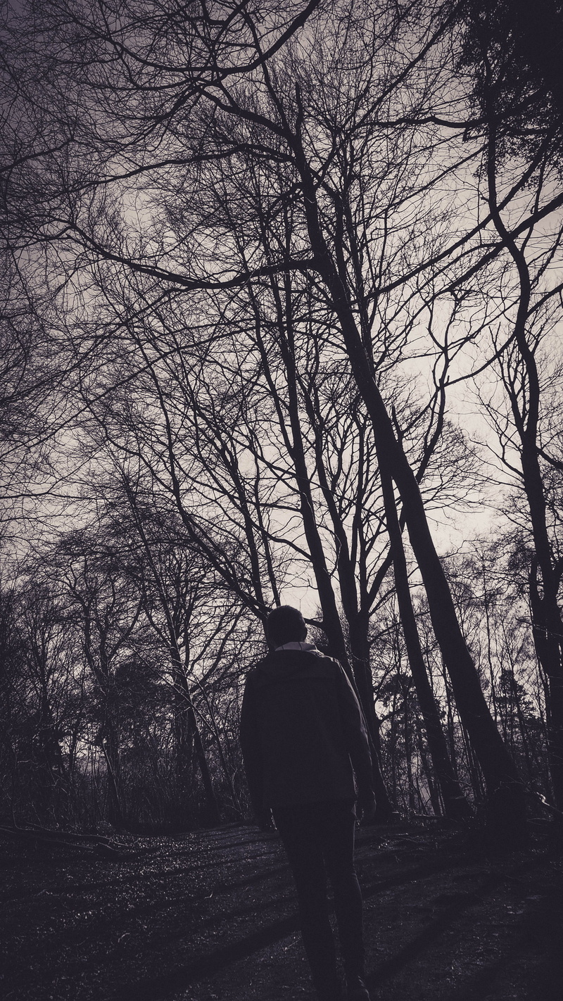 sepia, bare tree, nature, full length, non-urban scene, loggerheads country park, trees, dark, forest, walks, rear view, lifestyles, plant, tranquility