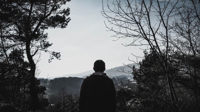 standing, scenics - nature, one person, rear view, outdoors, growth, united kingdom, waist up, forest, sky, scenery, nature, non-urban scene, park, branch