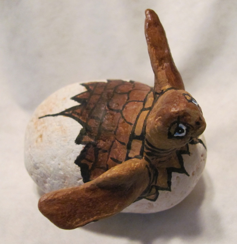 no people, indoors, one animal, 1080P, painted stones, table, homemade, loggerhead turtle, high angle view, day, marine, animal body part, reptile, nature