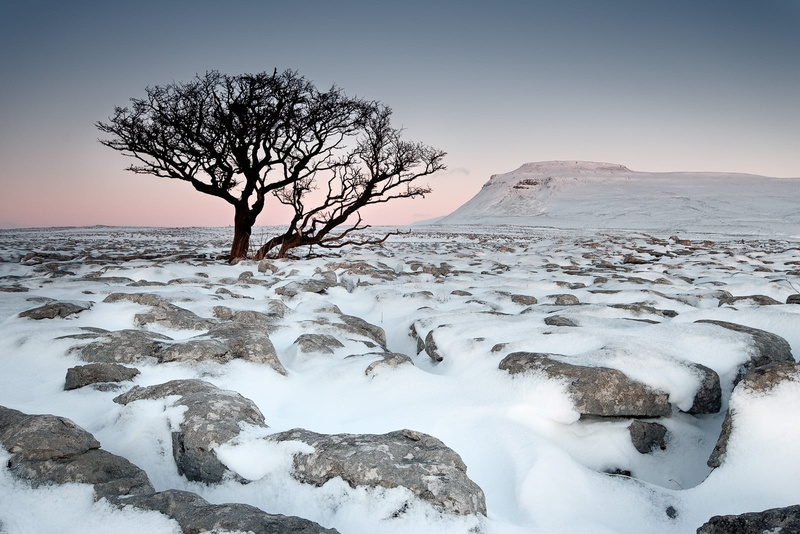 Landscape photographer, 720P, winter, tree, White, Limestone pavement, landscape  photographer, landscape, ice, Ingleborough, snow, place, snowy, Scar