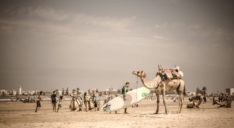 sand, people, mammal, crowd, arts culture and entertainment, 2K, animal, sky, large group of people, beach, real people, sea, nature, contrast, horse