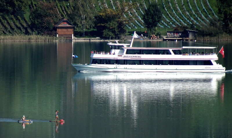travel, waterfront, stand paddle, water sports, 4K, ship, men, fun, people, lake, real people, sup, rowing, rowboat, paddle board, day, autumn, outdoors