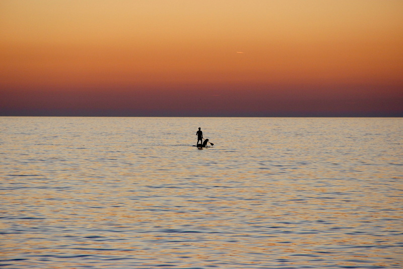 dog, holiday, orange color, lifestyles, paddleboarding, mediterranean, 2K, sunset sea, sunset, sky, silhouette, horizon over water, tranquil scene, tranquility