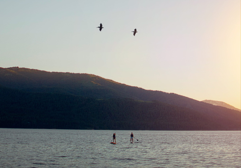 real people, united states, water, beauty in nature, bird, outdoors, adventure, friends, leisure activity, girls, birds, palisades reservoir, dusk, paddleboard