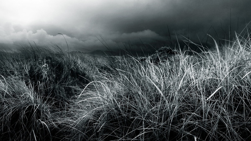 cloud - sky, 1080P, overcast, nature, ominous, rain, beauty in nature, field, dramatic sky, grass, outdoors, wind, environment, monochrome, landscape