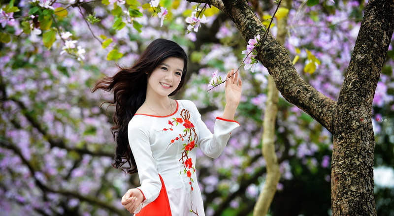 1080P, Smile, young adult, flower, spring, happiness, fashion, Blossom, smiling, cherry blossom, flowering plant, nature, long, growth, dress, beauty in nature