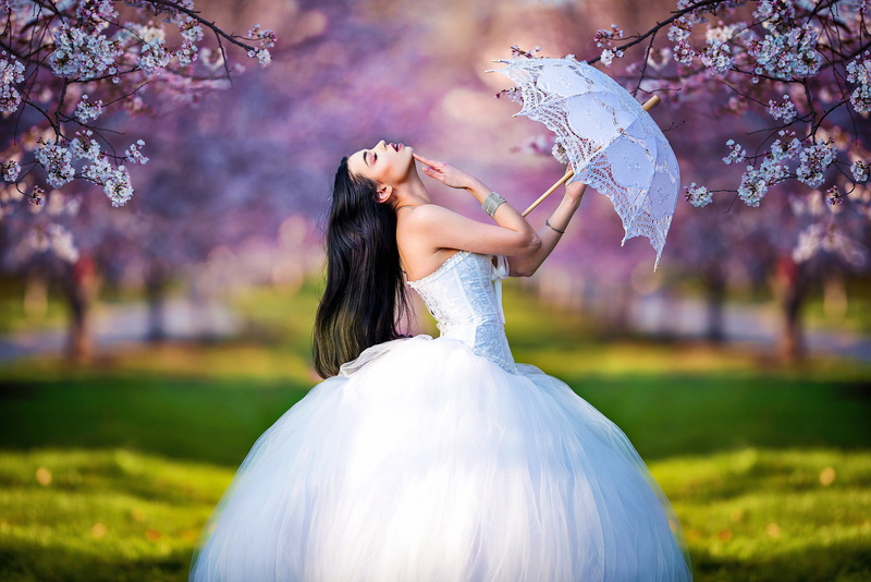 2K, wedding dress, girl, spring, mood, pose, flowering, branches, the bride, trees, garden, umbrella