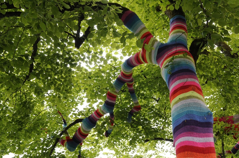 knit, color, green, assorted, growth, leisure activity, green color, sunlight, human leg, tre, promenade, tree decoration, outdoors, colorful, one person