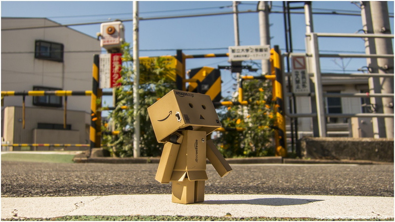 Mount Fuji, 1080P, Spring, Japanese, Osaka, amazon, Cherry Blossom, Japan, Tokyo, danbo