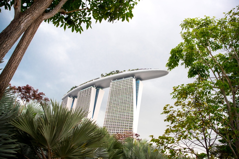 nature, tree, building exterior, outdoors, holiday, low angle view, sands, built structure, plant, palm, singapore, modern, marina, metropol, building
