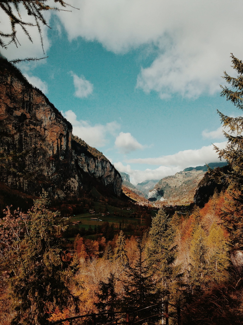 tree, forests, environment, blue, 4K, alps, building exterior, hue, swiss, sandbach 240, beauty in nature, mountains, nature, mountain, switzerland, no people