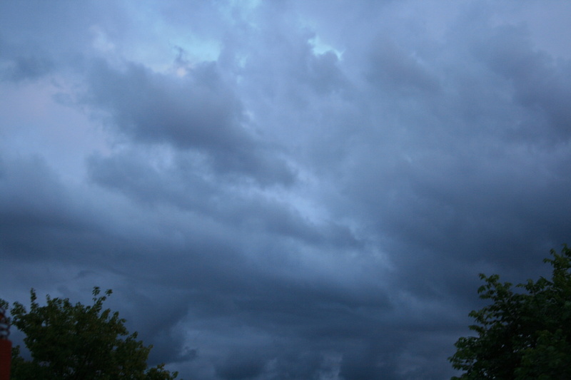 tranquil, beauty in nature, plant, overcast, high, sky, cloudscape, scenic, nature, dusk, low angle view, no people, cloud - sky, day, tree, 4K, storm cloud