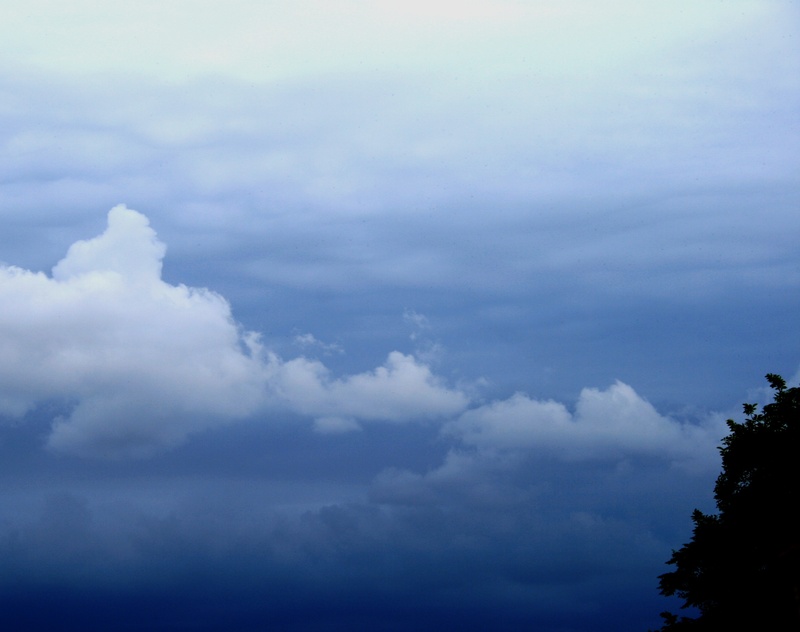 clouds, tree, nature, white, backgrounds, calm, storm, blue, hues, scenics - nature, non-urban scene, cool, drifting, no people, day, copy space, tranquil scene