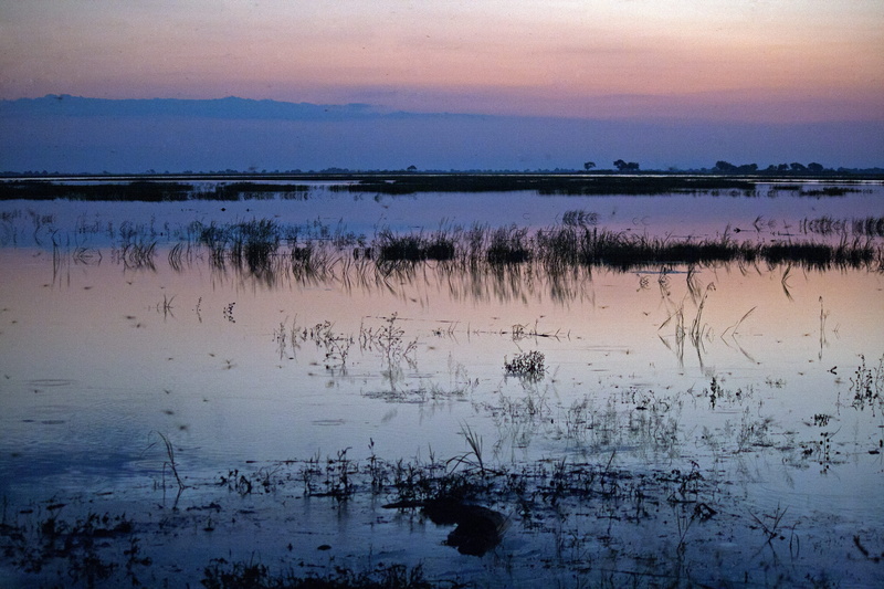 pink, africa, sky, non-urban scene, no people, plant, reflection, purple, 4K, landscape, lagoon, cloud - sky, blue, tranquility, tranquil scene, idyllic