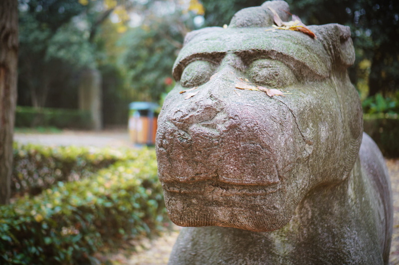 focus on foreground, solid, park - man made space, close-up, the past, stone material, day, history, 1080P, sculpture, art and craft, statue, craft, creativity