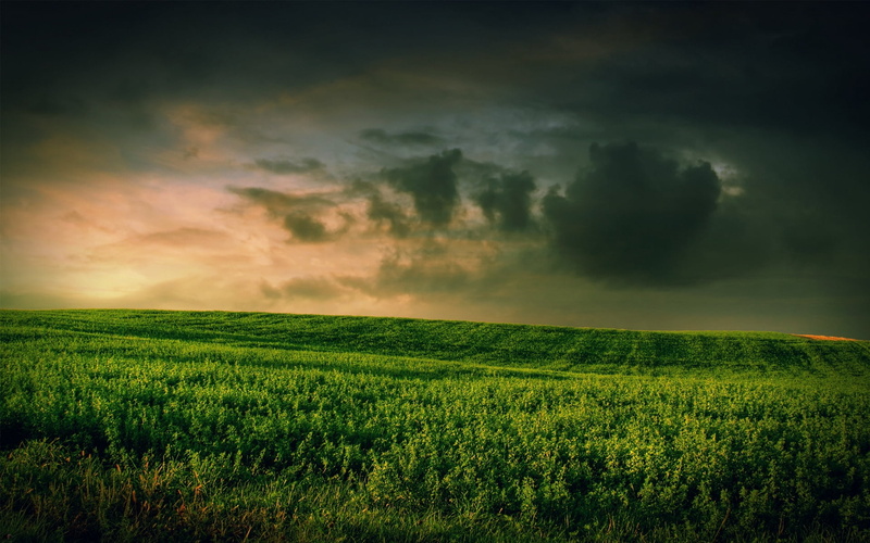agriculture, yellow, meadow, sunrise - Dawn, field, summer, clouds, pasture, landscape, dusk, beauty In Nature, land, freshness, wind, season, landscaped