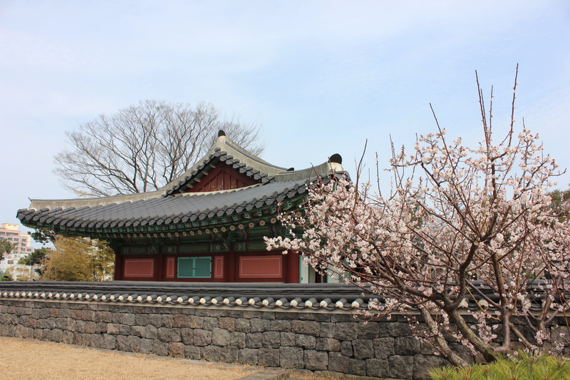 hanok, spirituality, place of worship, nature, branch, belief, flowers, no people, day, beside, traditional, concrete, wall, flower, outdoors, architecture
