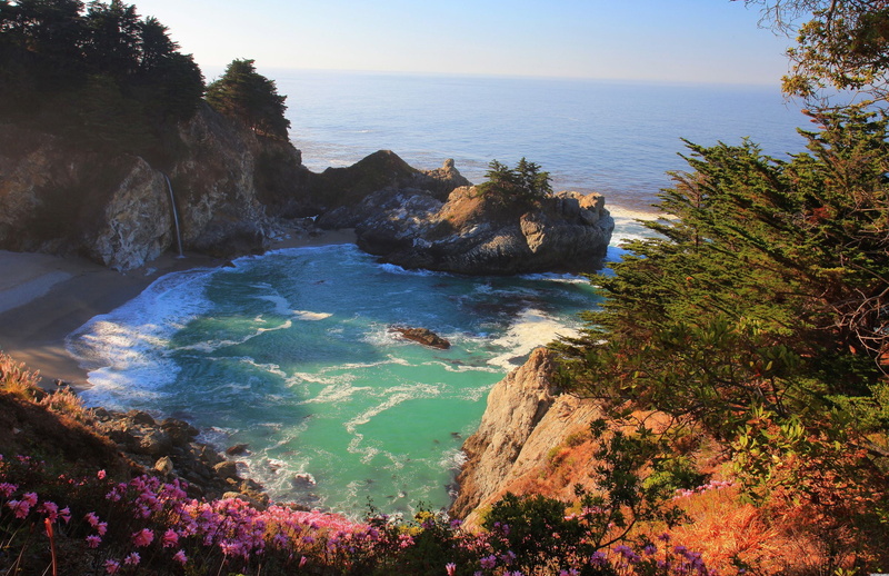 flowers, rock, no People, outdoors, plant, formation, cliff, sand, rock formation, day, seascape, body, sunny, pacific Ocean, wave, beach, travel Destinations