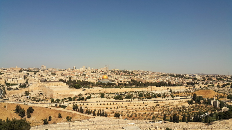 cityscape, 5K, the past, landscape, tree, travel, plant, outdoors, architecture, clear sky, environment, sunlight, holandia, ancient civilization, sky