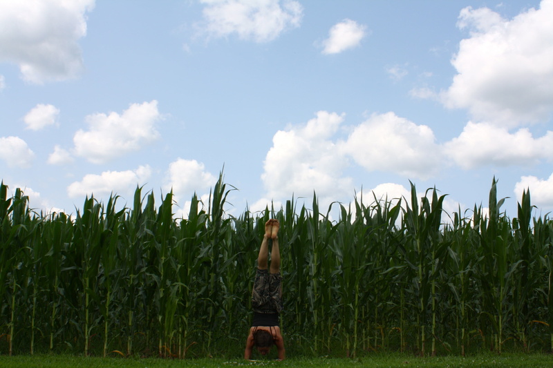 land, nature, relax, agriculture, inversion, plant, 4K, active, athlete, rural scene, strength, real people, athletic, health, asana, corn - crop, crop