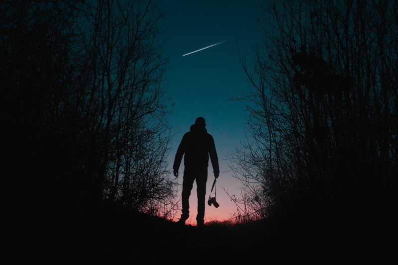 silhouetted, camera, shadow, solitude, night, plant, lifestyles, full length, dusk, sky, evening, man, photographer, nature, rear view, leisure activity