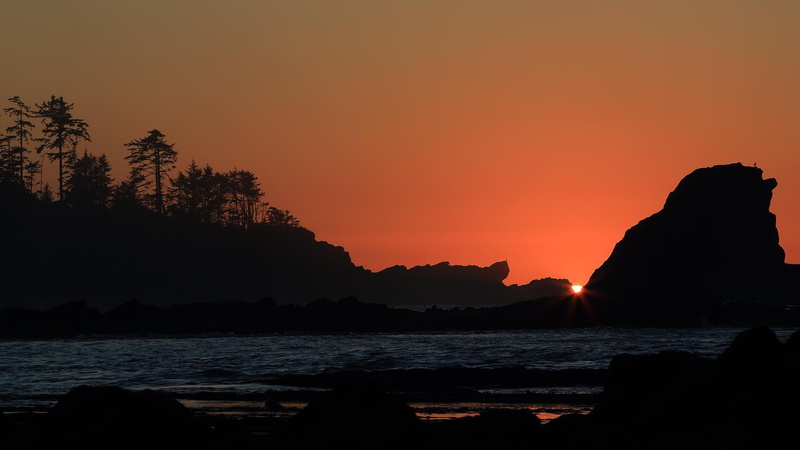 silhouette, beach, nature and landscapes, sunset, 1080P, bay, rocks, hour, silhouetted, golden, trees