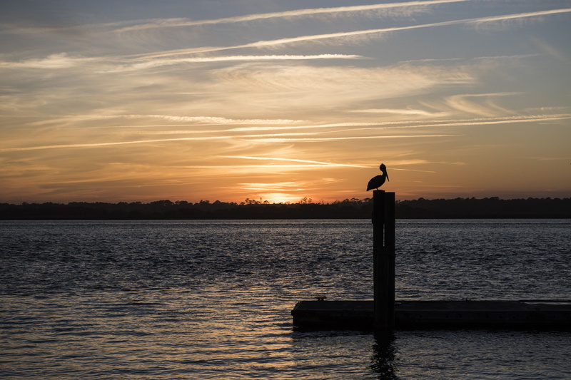 ocean, waterfront, water, sky, cloud - sky, orange color, evening, sunset, silhouette, silhouetted, real people, tranquility, scenics - nature, nature