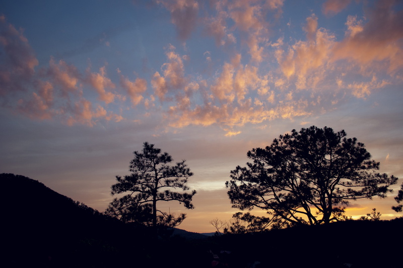 light, tranquility, dusk, outdoors, dramatic sky, nature, landscape, sunset, beauty in nature, silhouetted, evening, scenics - nature, growth, orange color