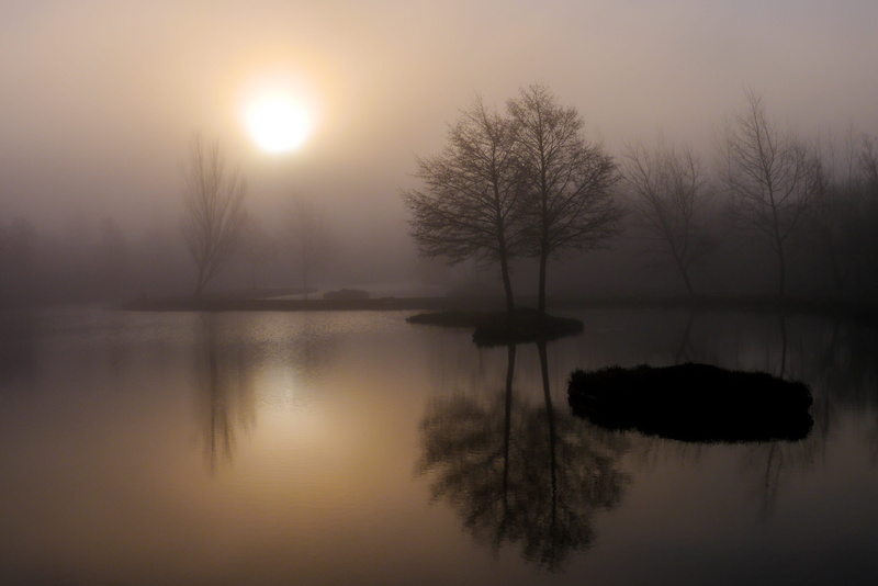 scenics - nature, fog, sun, mirror, dawn, tranquility, twilight, no people, daylight saving, reflection lake, outdoors, 4K, tranquil scene, landscape