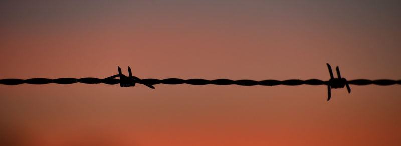 fence silhouette, sunset, animal themes, wire, fence, silhouette, barb wire fence, sky, dawn, nature, one animal, bird, protection, silhouetted, no people