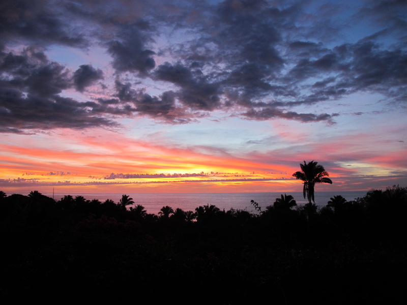 palm tree, scenic, nature, silhouette, evening, dramatic sky, orange color, outdoors, dawn, tranquil scene, scenics - nature, sky, idyllic, 2K, trees