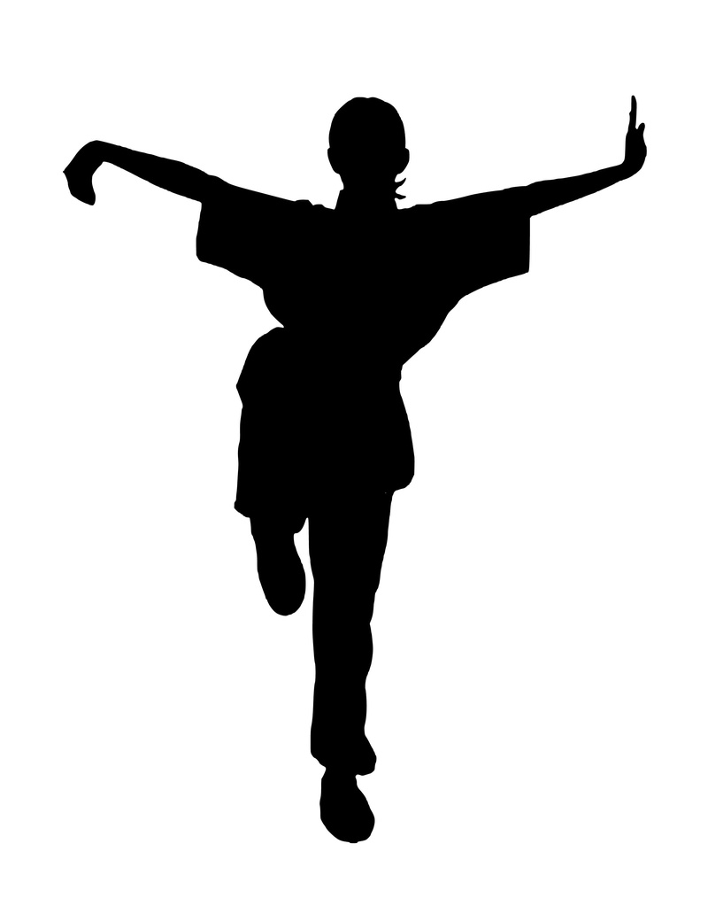 standing, kicking, rear view, martial, meditation, relaxation, leisure activity, culture, limb, concentration, lifestyles, health, female, arts culture and entertainment