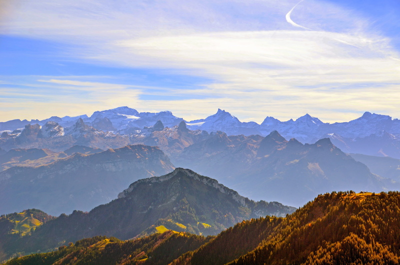 coniferous tree, alpine, mountain summit, sun, 4K, forest, environment, pine tree, no people, cloud - sky, mountain, wide, sky, travel destinations, tranquil scene